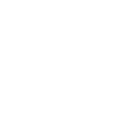 Rocketon